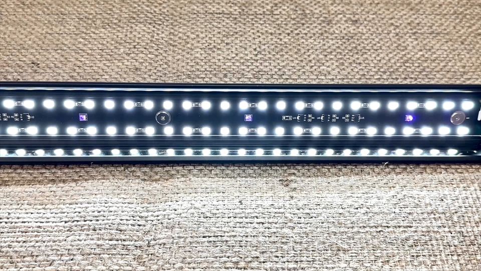 ゼンスイ バータイプソラリウムUV LED（BarTypeSOLARIUM UV LED）