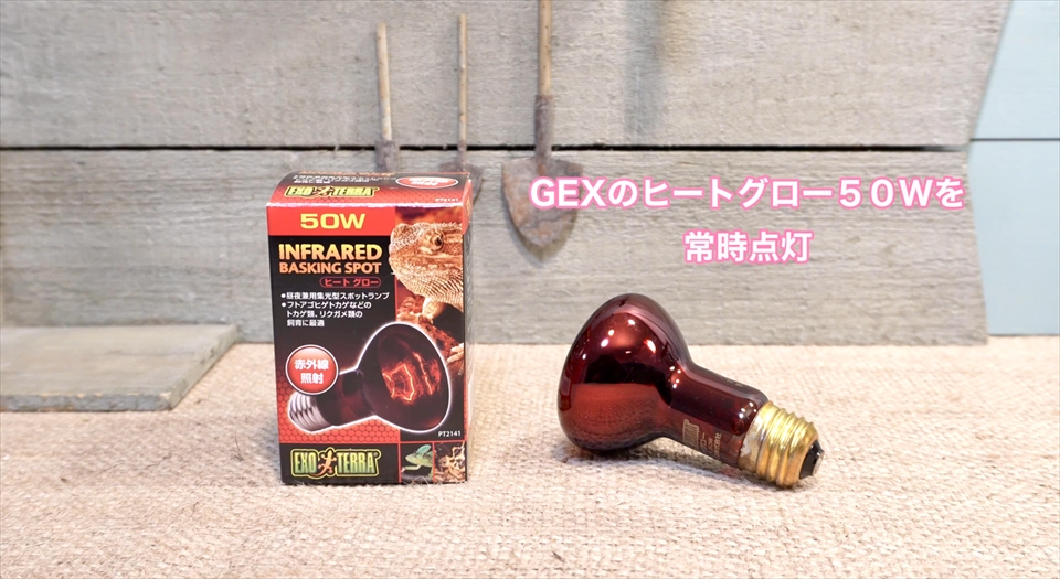 ピーターズバンデッドスキンクの飼育用品　GEXのヒートグロー