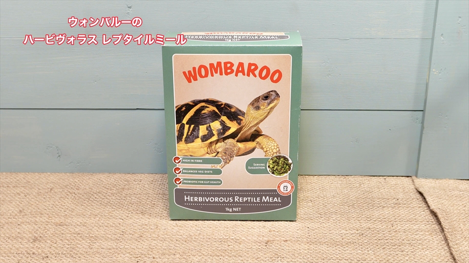 ヘルマンリクガメのベビーの飼育環境　エサ　サプリメント　ウォンバルーのハービヴォラスレプタイルミール