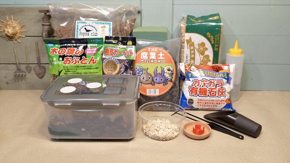 ワラジムシの飼い方・殖やし方・飼育環境のセッティング