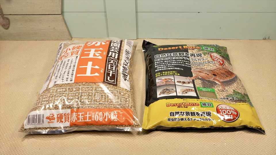 ペールアガマの飼い方・飼育用品・飼育環境・エサ(種類・量・頻度)についてまとめました・おすすめの床材