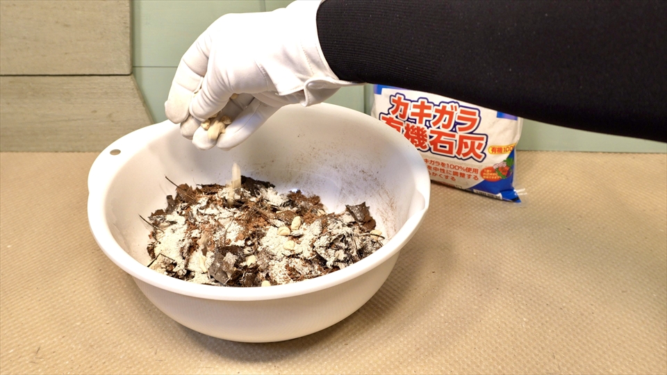 ワラジムシ・ダンゴムシの床材づくり・サンゴ砂を混ぜる