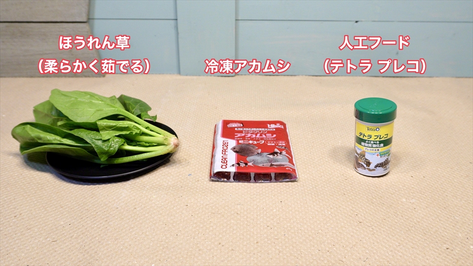 ヒキガエルのオタマジャクシのおすすめのエサ