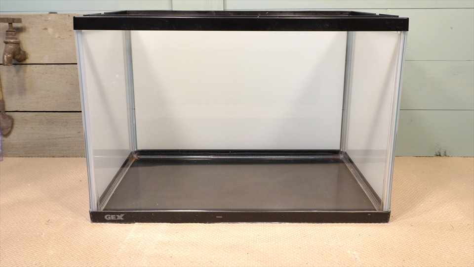 キオビヤドクガエルの飼育環境・飼育ケージの水槽