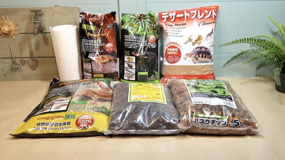 ニシアフロカトカゲモドキの飼い方と飼育環境 おすすめの床材