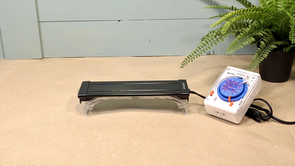 フライッシュマンアマガエルモドキ(グミガエル)用のレイアウトケージ(テラリウム・パルダリウム)を作りました。おすすめの照明器具(LEDライト)とタイマー