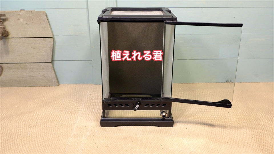 グラステラリウムの壁面に張り付けた極床 植えれる君