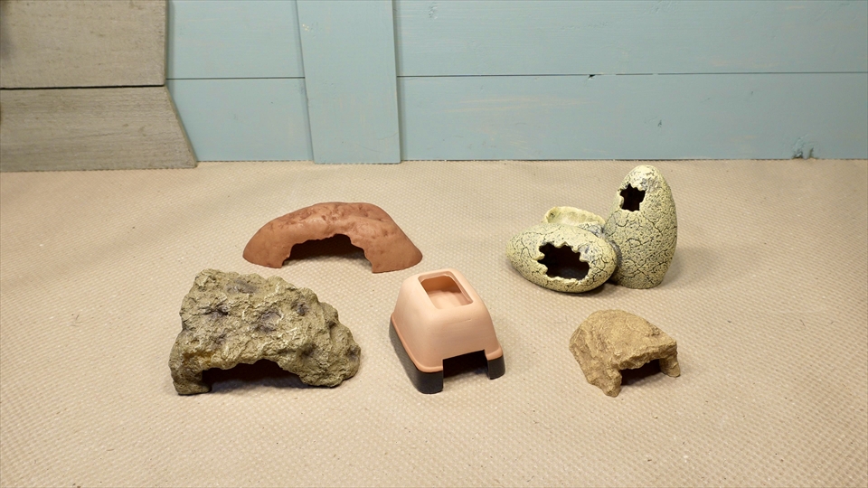 ナミハリユビヤモリ(エレガンスボウユビヤモリ・エレガントハリユビヤモリ)の飼い方・飼育用品・飼育環境・おすすめのシェルター