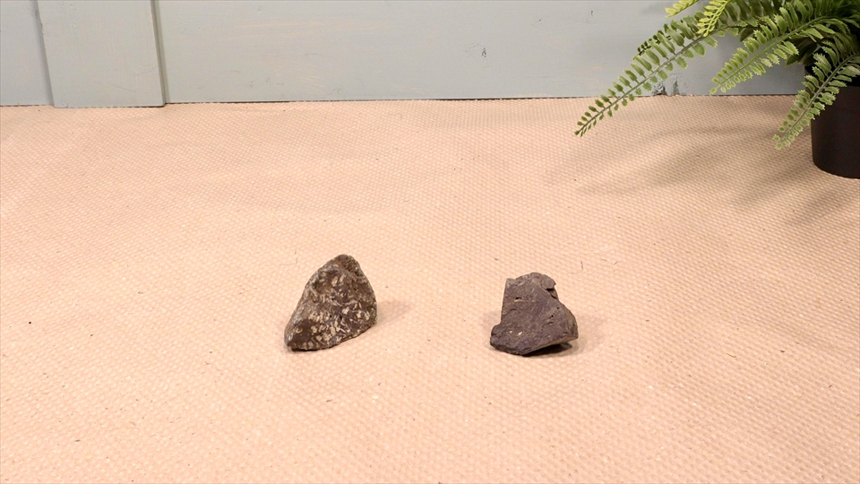 フライッシュマンアマガエルモドキ(グミガエル)用のレイアウトケージ(テラリウム・パルダリウム)を作りました。準備した小石