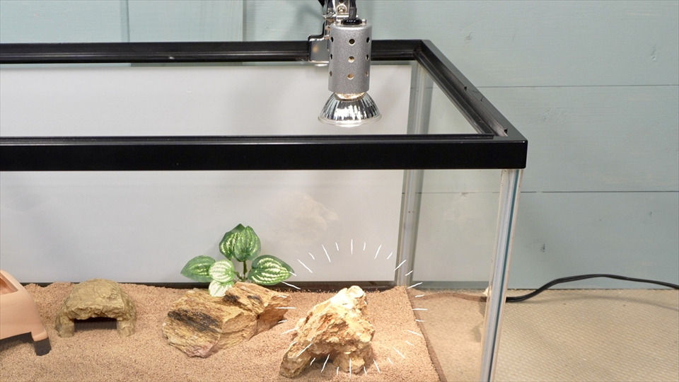 サハラカワラヤモリの飼い方・飼育用品・飼育環境・ホットスポット(バスキングエリア)