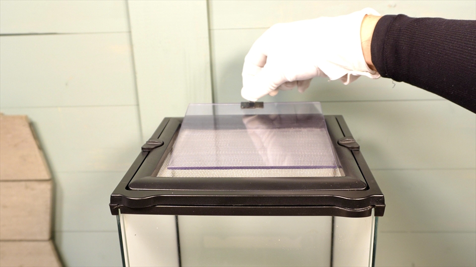 ケージ内の乾燥を防ぐための自作のフタと簡単な湿度調節の方法