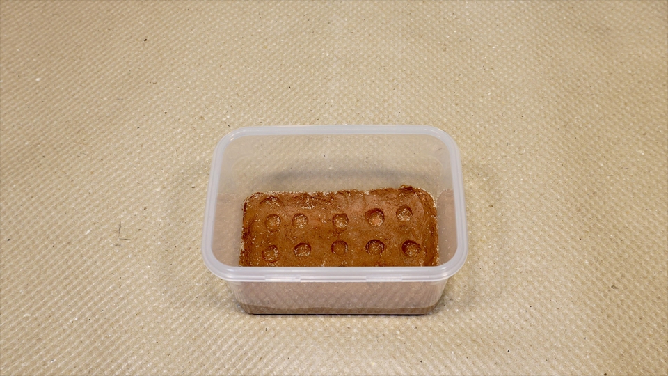 トビムシ飼育用の粘土床材(トビムシクレイ・トビムシ培地クレイ)