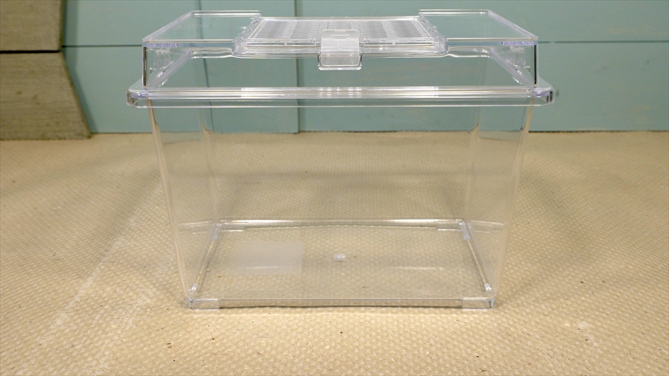 フライッシュマンアマガエルモドキ（グミガエル）飼育のおすすめの飼育ケース