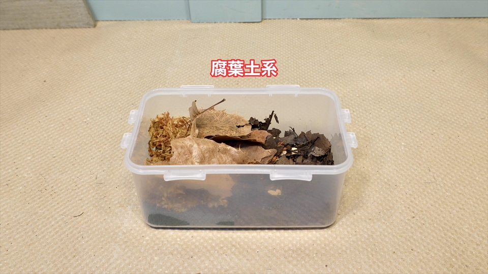ワラジムシ・ダンゴムシの飼育環境・腐葉土系
