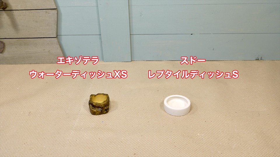 サハラカワラヤモリの飼い方・飼育用品・飼育環境・おすすめの水入れ