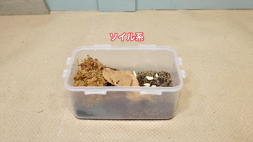 ワラジムシ・ダンゴムシの飼育環境・ソイル系