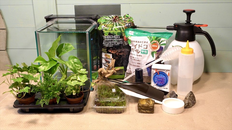 フライッシュマンアマガエルモドキ(グミガエル)用のレイアウトケージ(テラリウム・パルダリウム)を作りました。準備した物・おすすめの飼育用品