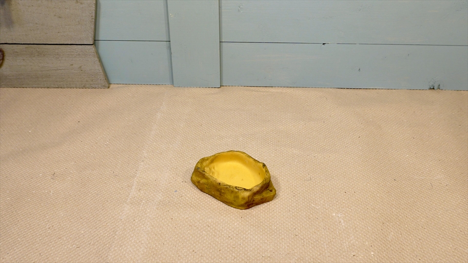 ヤドクガエルの飼育環境・おすすめの水入れ