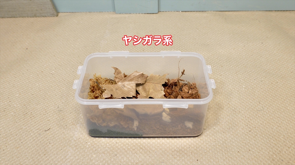 ワラジムシ・ダンゴムシの飼育環境・ヤシガラ系