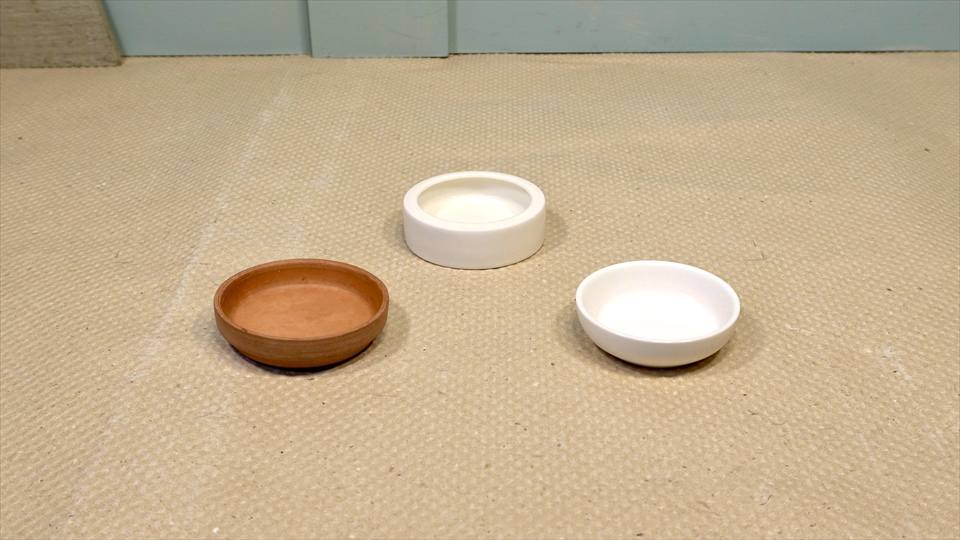 ヤドクガエルの飼育環境・おすすめのエサ皿