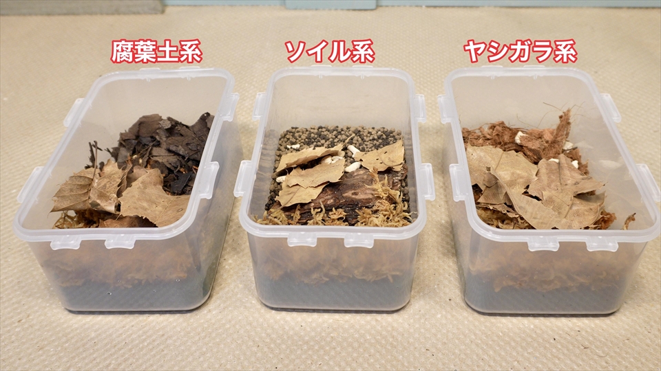 ワラジムシ・ダンゴムシの飼育環境のセッティング・給水スポンジ(オアシス)を使った飼育環境