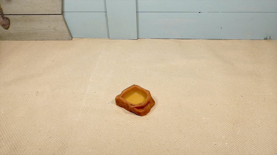 ペールアガマの飼い方・飼育用品・飼育環境・エサ(種類・量・頻度)についてまとめました・おすすめの水入れ