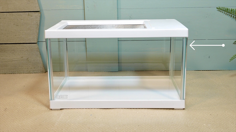 レプテリア ツインビュー 300 水を入れての使用