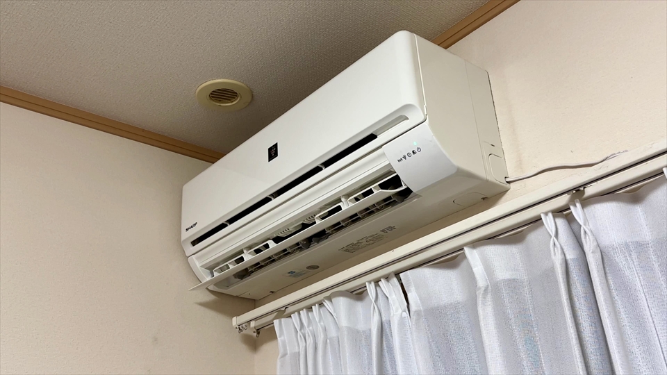 ダイオウサソリ(エンペラースコーピオン)の飼育環境・保温器具