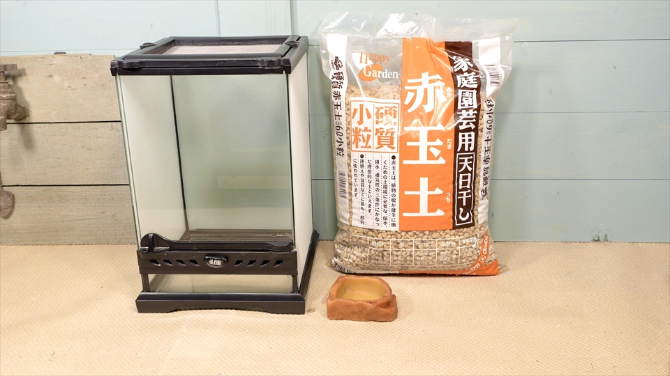 チャコガエルの飼い方・飼育用品・飼育環境・エサ(種類・量・頻度)についてまとめました・おすすめの飼育セット