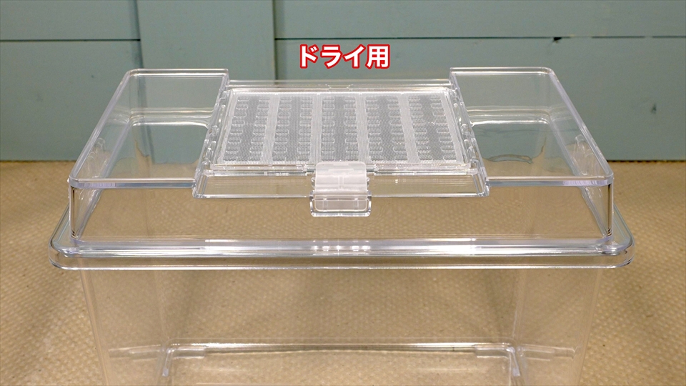 フライッシュマンアマガエルモドキ（グミガエル）飼育のおすすめの飼育ケース