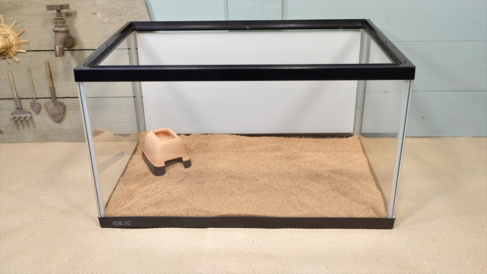 サハラカワラヤモリの飼い方・飼育用品・飼育環境のセッティング(ウェットシェルターを設置)