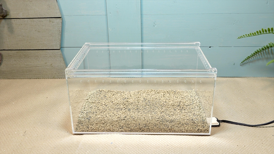 ニシアフロカトカゲモドキの飼い方と飼育環境 床材のデザートベースをセッティング