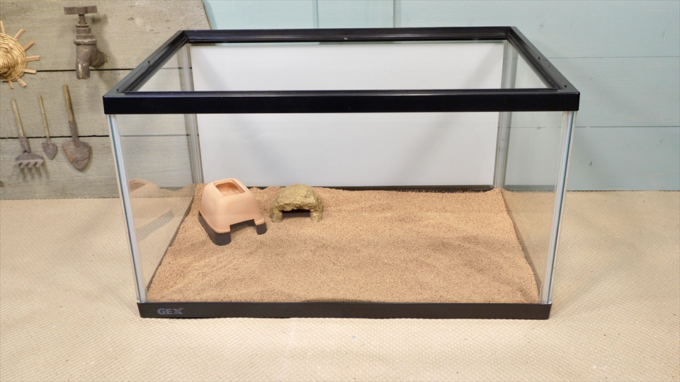 サハラカワラヤモリの飼い方・飼育用品・飼育環境のセッティング(ロックシェルターを設置)