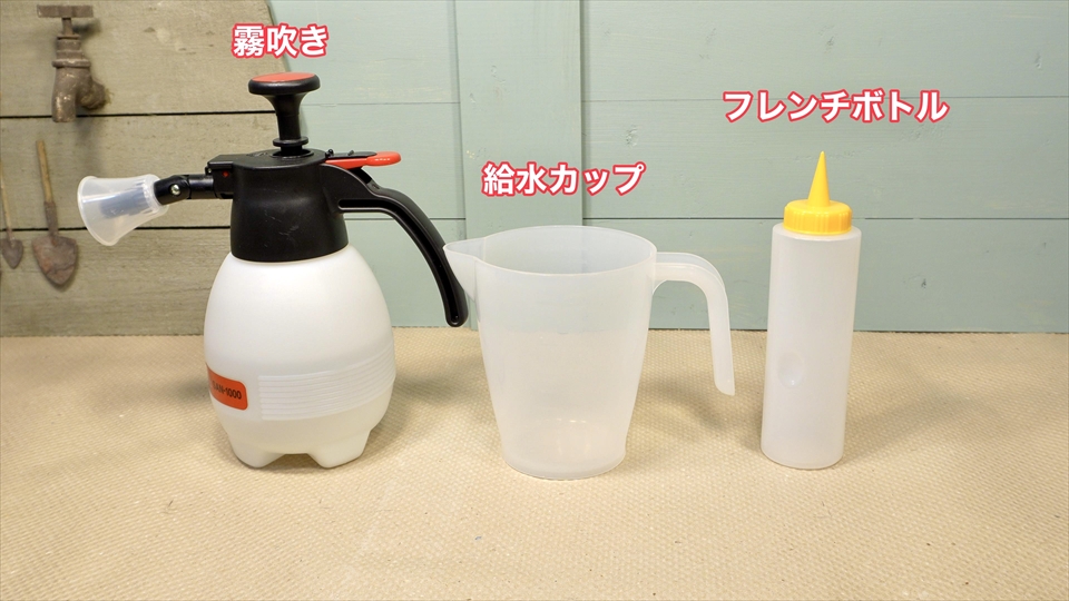 トビムシの飼い方・殖やし方・飼育用品・飼育環境・エサについてまとめました・おすすめの飼育用品