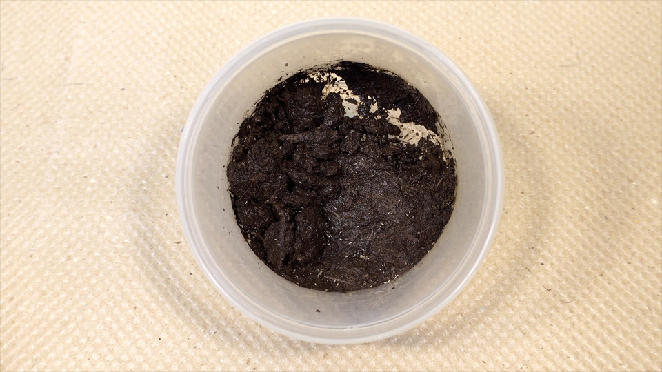 おすすめのトビムシの床材
