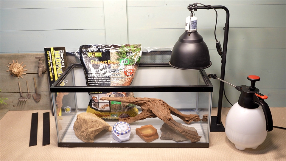 ペールアガマの飼育用品