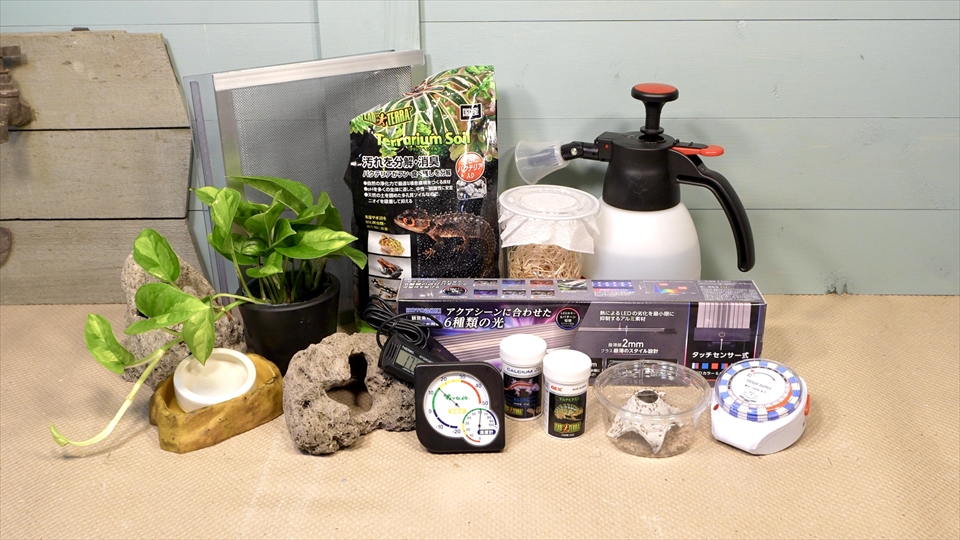 ヤドクガエルの飼育環境・おすすめの飼育用品