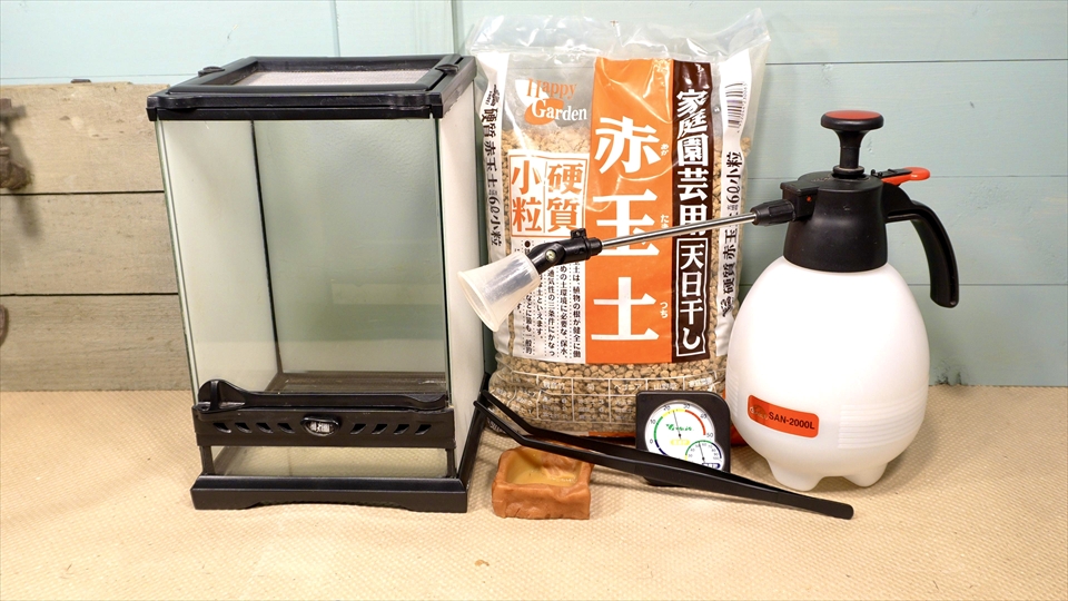 チャコガエルの飼い方・飼育用品・飼育環境・エサ(種類・量・頻度)についてまとめました・おすすめの飼育用品