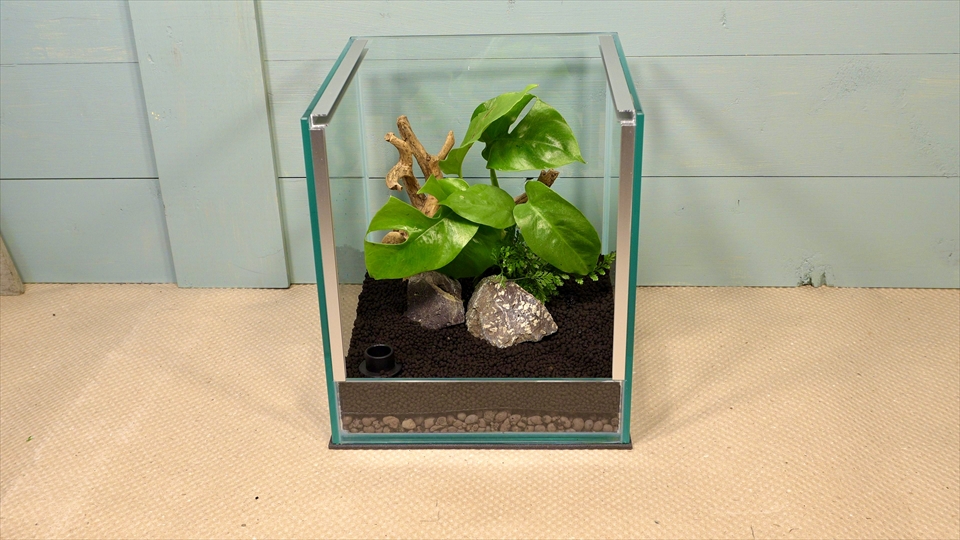 フライッシュマンアマガエルモドキ(グミガエル)用のレイアウトケージ(テラリウム・パルダリウム)を作りました。小石を配置しました。