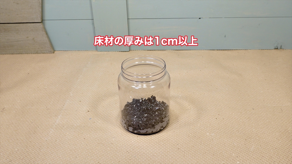 トビムシ繁殖キット(飼育セット)・飼育環境のセッティング