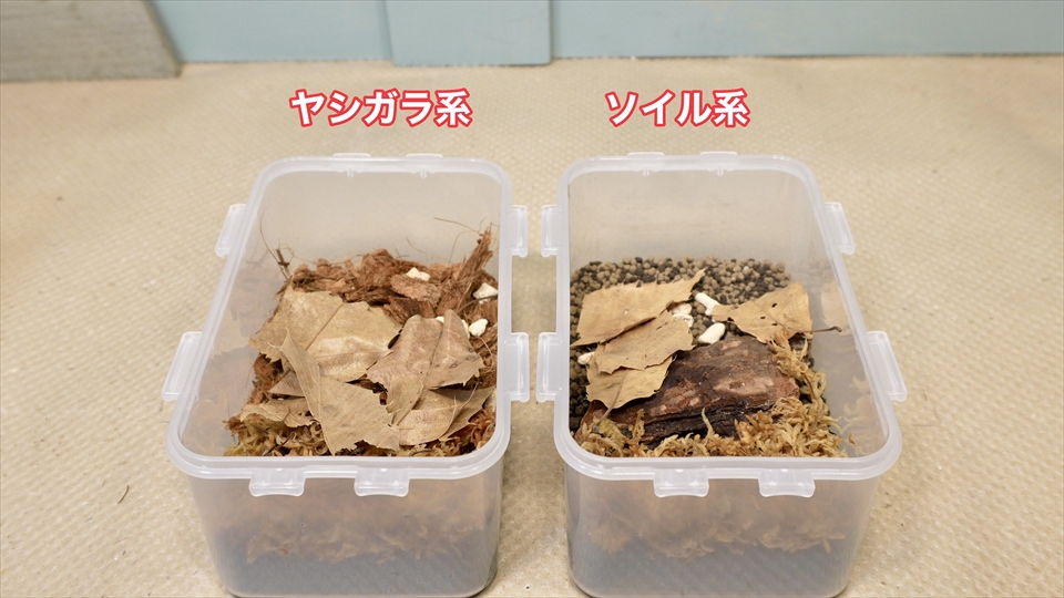 ワラジムシ・ダンゴムシの飼育環境・ヤシガラ系・ソイル系