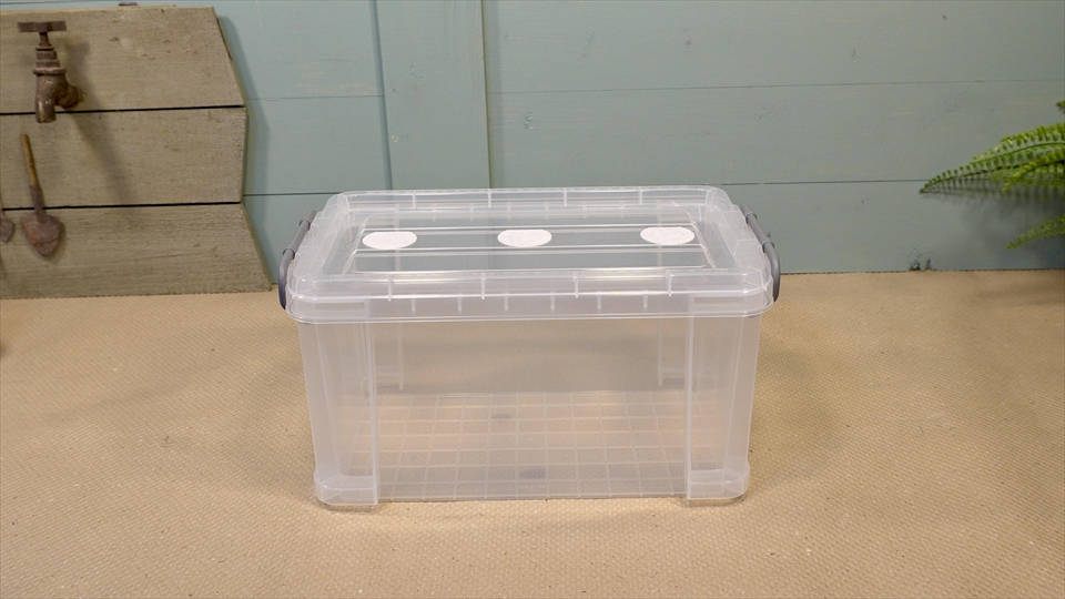 オカヤドカリ飼育用のおすすめの飼育ケース・プラスチックのコンテナ