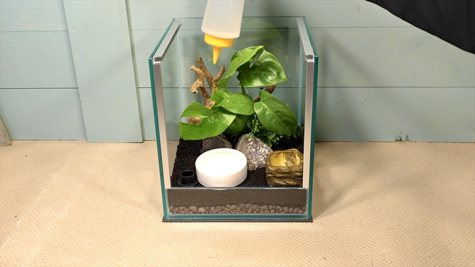 フライッシュマンアマガエルモドキ(グミガエル)用のレイアウトケージ(テラリウム・パルダリウム)を作りました。床材を湿らせました。