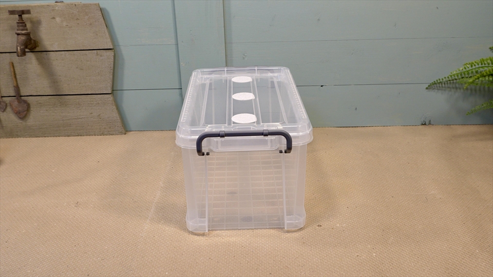 オカヤドカリ飼育用のおすすめの飼育ケース・プラスチックのコンテナ