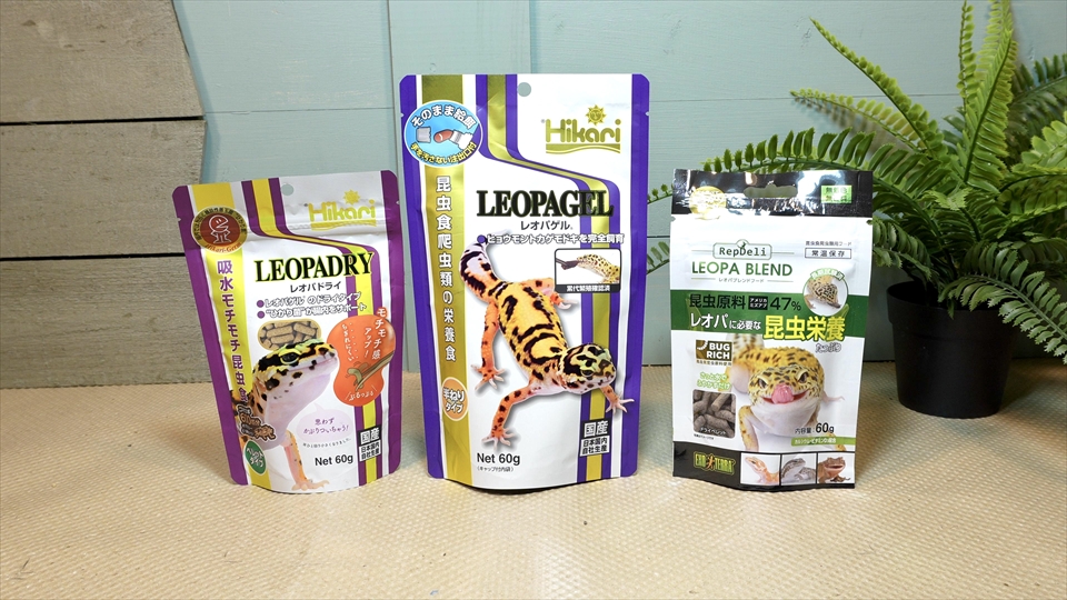 ニシアフロカトカゲモドキの飼い方と飼育環境 おすすめのエサ(人工フード)