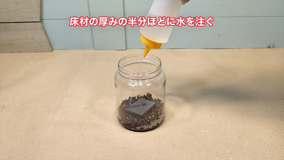 トビムシ繁殖キット(飼育セット)・飼育環境のセッティング