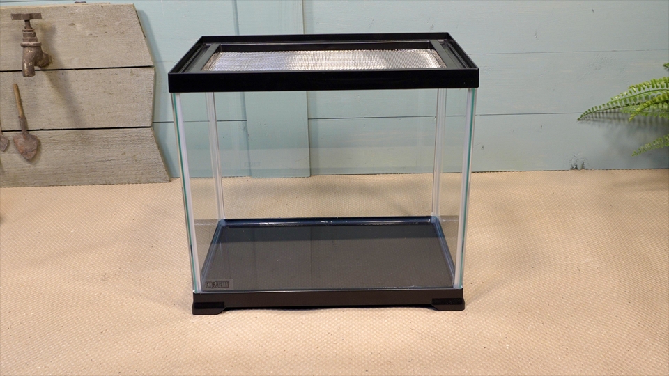オカヤドカリ飼育用のおすすめの飼育ケース・フタ付きのガラス水槽