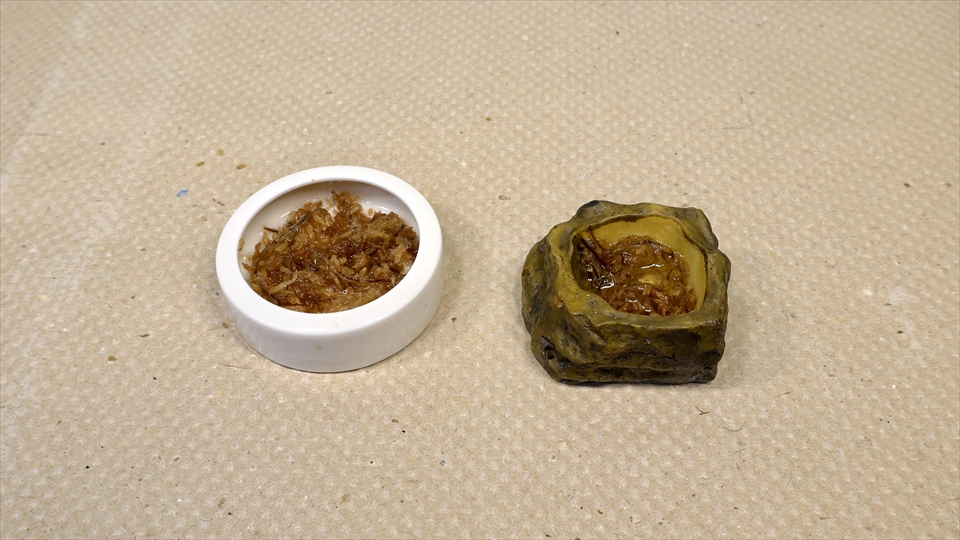 フライッシュマンアマガエルモドキ（グミガエル）飼育のおすすめの水入れ・エサ皿