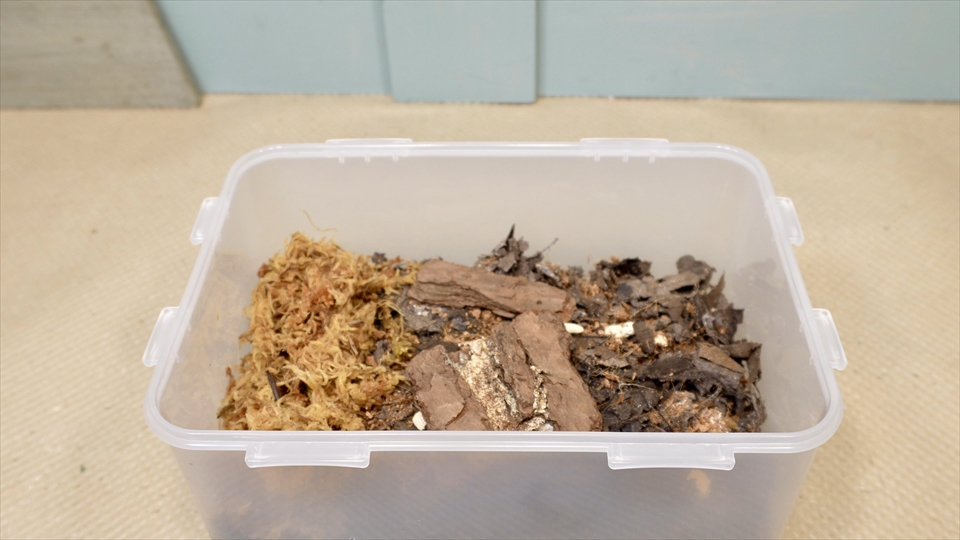 ワラジムシ・ダンゴムシの飼育環境のセッティング・隠れ家と湿度勾配・樹皮カーペット