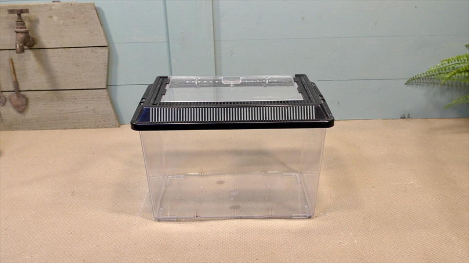 オカヤドカリ飼育用のおすすめの飼育ケース・プラケース